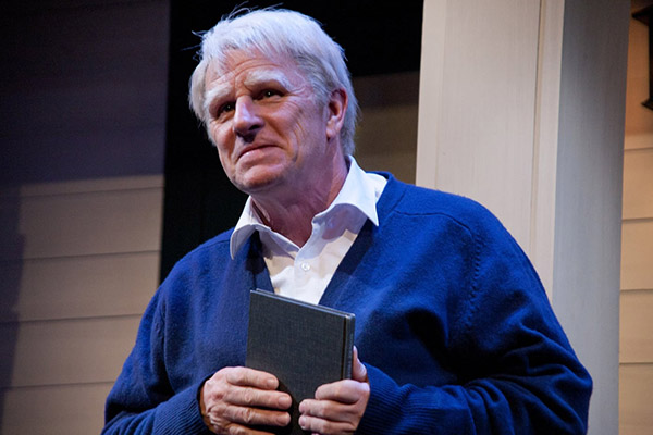 Gordon Clapp A Veteran Performer Still Making His Mark on Television