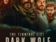 How to Watch The Terminal List: Dark Wolf