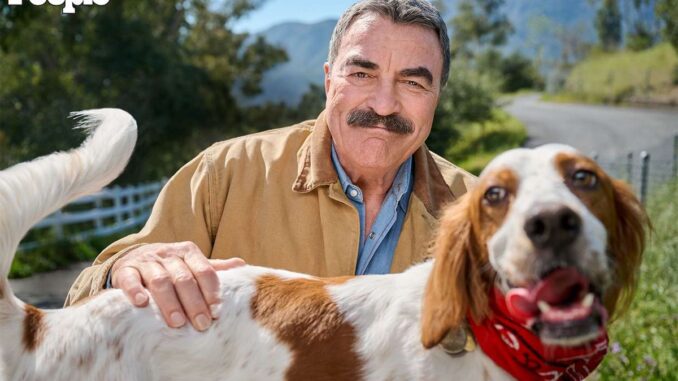 Blue Bloods Season 16 Canceled? Donnie Wahlberg Walks Out After Heated Argument with Producers Over Script Changes! md02