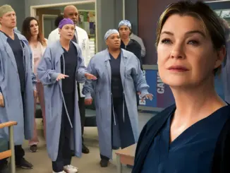 Meredith Grey Season 23 cast update