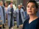 Meredith Grey Season 23 cast update