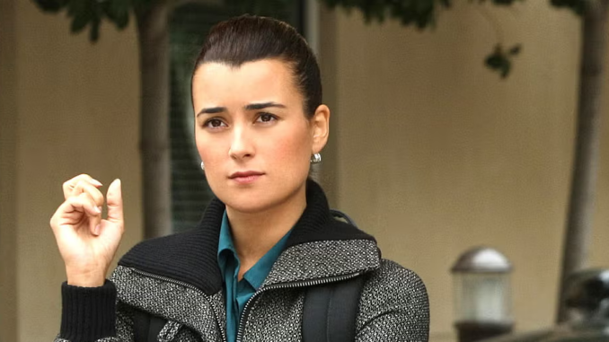 Ziva cote de pablo ncis